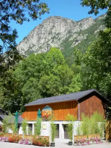 Valle dell'Orlu - Valley Oriège: House of Wolves, alberi e montagna che domina l'intera