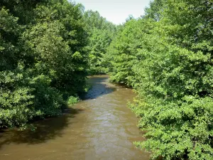 Valle dell'Orne - Fiume Orne e gli alberi sul bordo dell'acqua nel Normande Suisse