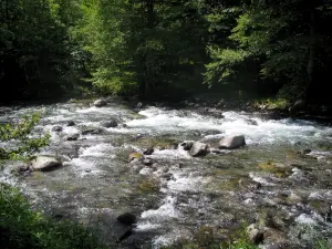 Valle del Pique - Río con rocas y árboles a la orilla del agua, en los Pirineos