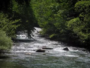 Valle della Pique - Fiume fiancheggiato da alberi, nei Pirenei