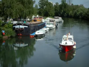 Valle del Rin - Ródano-Rhin canal con embarcaciones, los árboles en el fondo