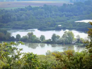 Valle della Somme - Dal punto di vista Vaux, vista su alberi e laghetti dell'Alto Somme