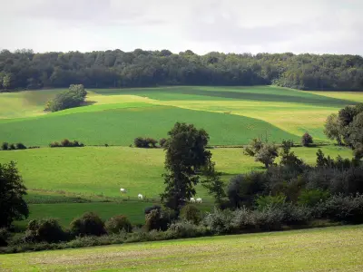 Vallée de l'Ardre