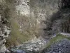 Vallée du Bès - Clue de Verdaches : rivière, route et parois rocheuses