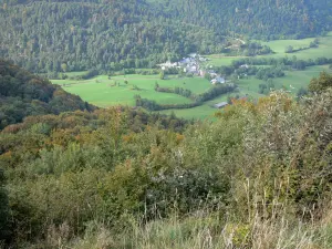Vallée de Chaudefour - Arbustes en premier plan avec vue sur la vallée (village, pâturages et arbres) ; dans le Parc Naturel Régional des Volcans d'Auvergne, dans le massif du Sancy (monts Dore)
