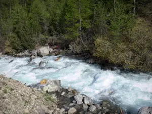 Vallée de Freissinières - Torrent de la Biaysse (Biaisse), pierres et arbres ; dans le Parc National des Écrins