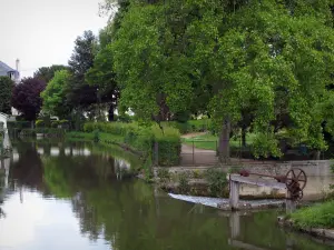 Vallée de l'Indre - Rivière (l'Indre) et arbres