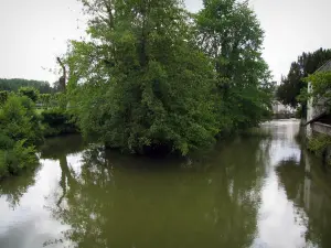 Vallée de l'Indre - Rivière (l'Indre) et arbres au bord de l'eau