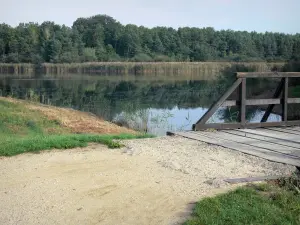 La Vallée lake - Wooden bridge, lake, reeds and trees of Orléans forest (forest massif)