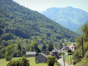 Vallée de Lesponne - Maisons d'un hameau et petites montagnes couvertes d'arbres ; dans la Bigorre