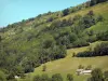 Vallée de Lesponne - Casas, árboles y pastizales en pendiente en el Bigorra