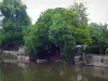 Vallée du Loir - Rivière (le Loir), barques amarrées à la rive et arbres au bord de l'eau, à Montoire-sur-le-Loir