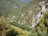 Vallée du Lot - Paysage des gorges du Lot