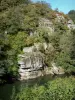 Vallée du Lot - Gorges du Lot : paroi rocheuse, végétation et rivière Lot