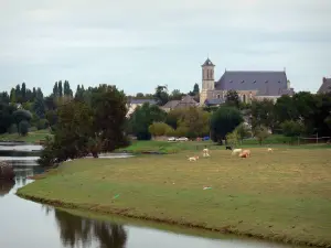 Vallée de la Mayenne - Rivière Mayenne, église et maisons d'un village, arbres, prairie avec des vaches au bord de l'eau
