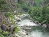 Vallée de la Nive - Rivière Nive bordée d'arbres