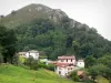 Vallée de la Nive - Maisons au pied d'une colline arborée