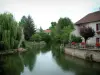 La vallée de l'Ognon - Vallée de l'Ognon: Arbres et maisons au bord de la rivière (l'Ognon)