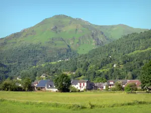 Vallée d'Ossau - Maisons de la vallée béarnaise avec vue sur les montagnes pyrénéennes