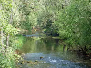 Vallée de l'Ouche - Rivière Ouche bordée d'arbres