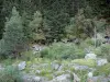 Vallée du Rioumajou - Rivière bordée de rochers et d'arbres