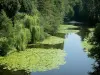 Vallée du Thouet - Rivière Thouet bordée d'arbres