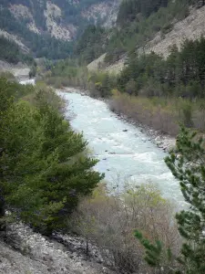 Vallée de l'Ubaye - Depuis la route des Grandes Alpes, vue sur la rivière Ubaye bordée d'arbres