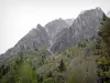 Vallée du Vénéon - Parc National des Écrins (massif des Écrins) - Oisans : vue sur les pentes montagneuses parsemées d'arbres