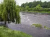 Vallée de la Vienne - Rivière (la Vienne) bordée d'arbres et de saules-pleureurs