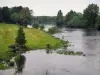 Vallée de la Vienne - Rivière (la Vienne) bordée d'arbres