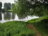 Vallée de la Vienne - Rive avec végétation, rivière (la Vienne) et arbres