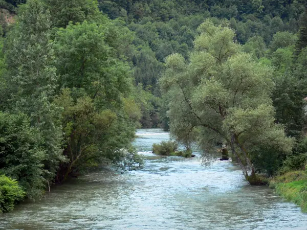 Vallei van de Dessoubre - Dessoubre rivier omzoomd met bomen