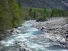 Vallei van de Drac Blanc - Torrent Drac Blanc, rotsen, stenen en bomen langs het water in de Champsaur, in het Parc National des Ecrins