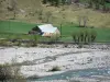 Vallei van de Drac Blanc - Farm en weide naast de beek Drac Blanc in Champsaur, in het Parc National des Ecrins