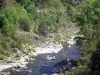 Vallei van Eyrieux - Eyrieux rivier omzoomd met bomen, in het Regionale Natuurpark van de Monts d'Ardèche