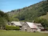 Vallei van Lesponne - Stenen huizen, weiland en bomen in de Bigorre
