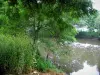 Vallei van de Loir - Bank met bomen en vegetatie langs de rivier (de Zevenslaper)