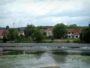 Vallei van de Ognon - River (Ognon) met waterlelies, bomen en huizen