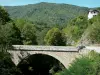 Vallei van Orlu - Valley Oriège: Oriège brug over de rivier, bomen, bos en thuis