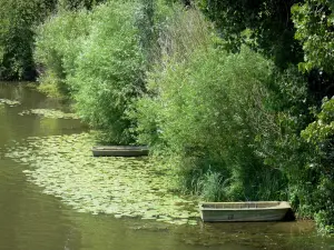 Vallei van de Sarthe - Sarthe rivier, afgemeerde boten, en bomen aan de rand van het water