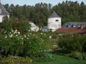 Valloires gardens - Dovecote of the Valloires Cistercian abbey, rose garden and trees