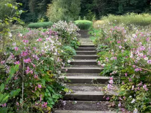 Valloires gardens - Stair lined with flowers