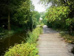 Valloires gardens - Marsh garden (inland waterways, path and trees)