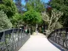 Vals-les-Bains - Steg und mit Bäumen bepflanzter Kurpark des Kurortes