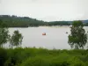 Vassivière lake - Shrubs in foreground, trees, artificial lake, boats, beach and forest