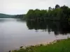 Vassivière lake - Shore, artificial lake and trees