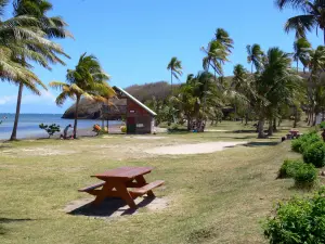Le Vauclin - Punta Beach Faula salpicada de cocoteros y mesas de picnic