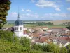 Vaucouleurs - Glockenturm der Saint-Laurent-Kirche, Dächer der Häuser im Dorf und die umliegende Landschaft