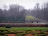 Vaux-le-Vicomte城堡 - 城堡公园：LeNôtre法国花园和树木的刺绣花坛