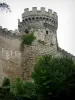 Veauce - Torre do castelo
